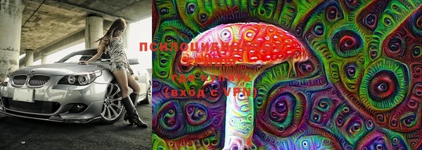PSILOCYBIN Богородицк