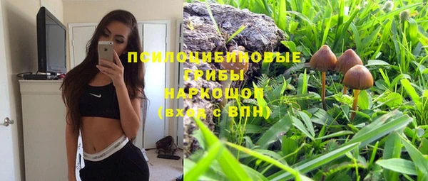 эйфоретик Богородск