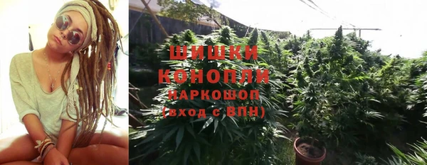 PSILOCYBIN Богородицк