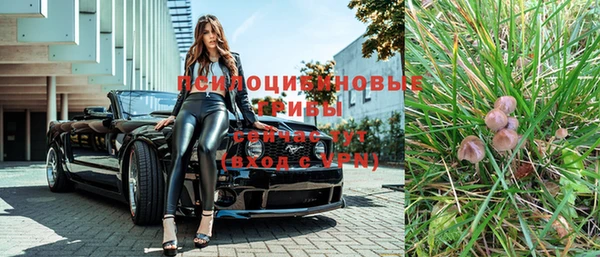PSILOCYBIN Богородицк